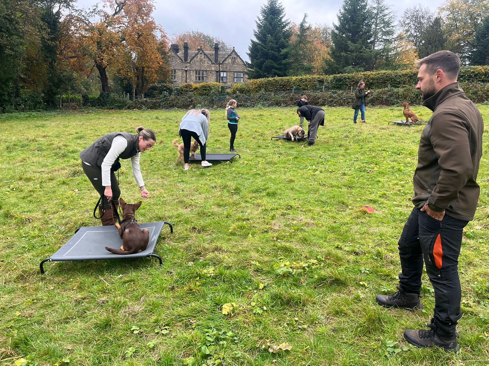 motion_photo_3769769192611285788