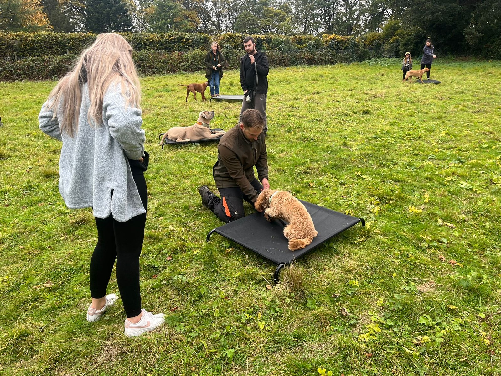 motion_photo_5579011149281864515