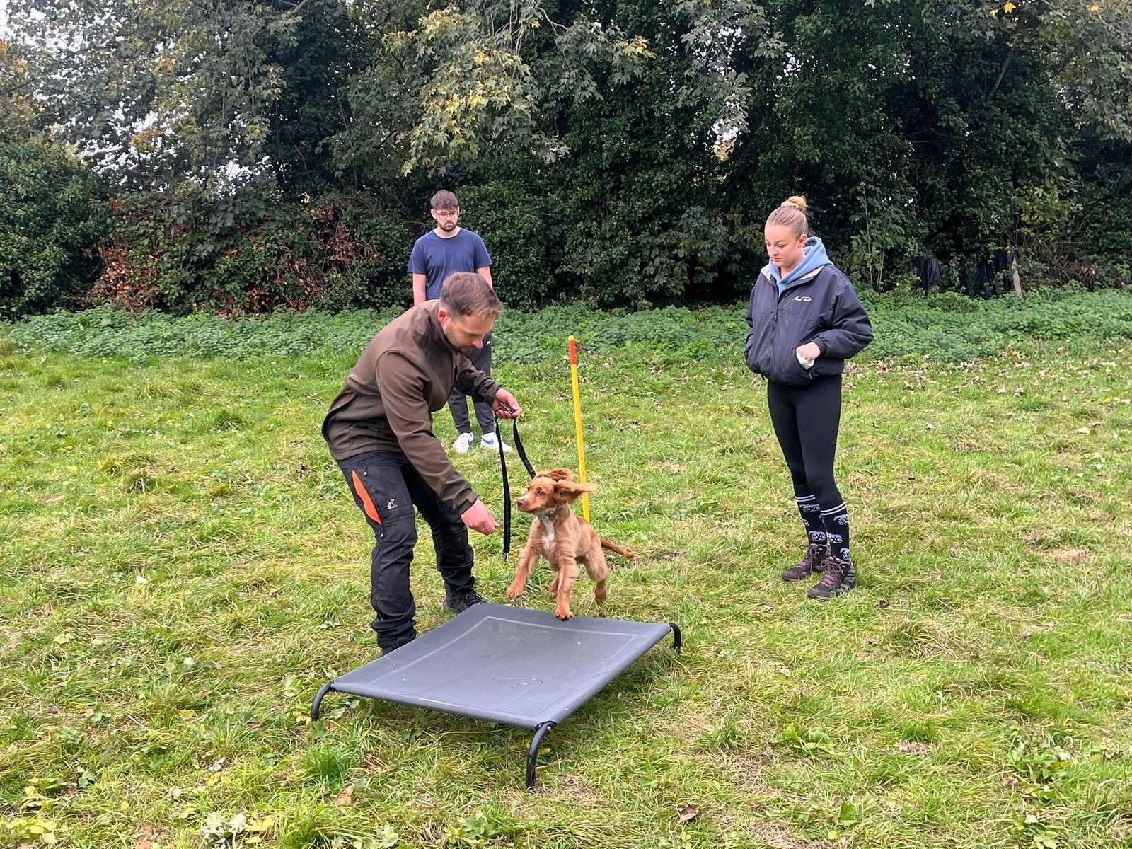 motion_photo_6514222263908804639